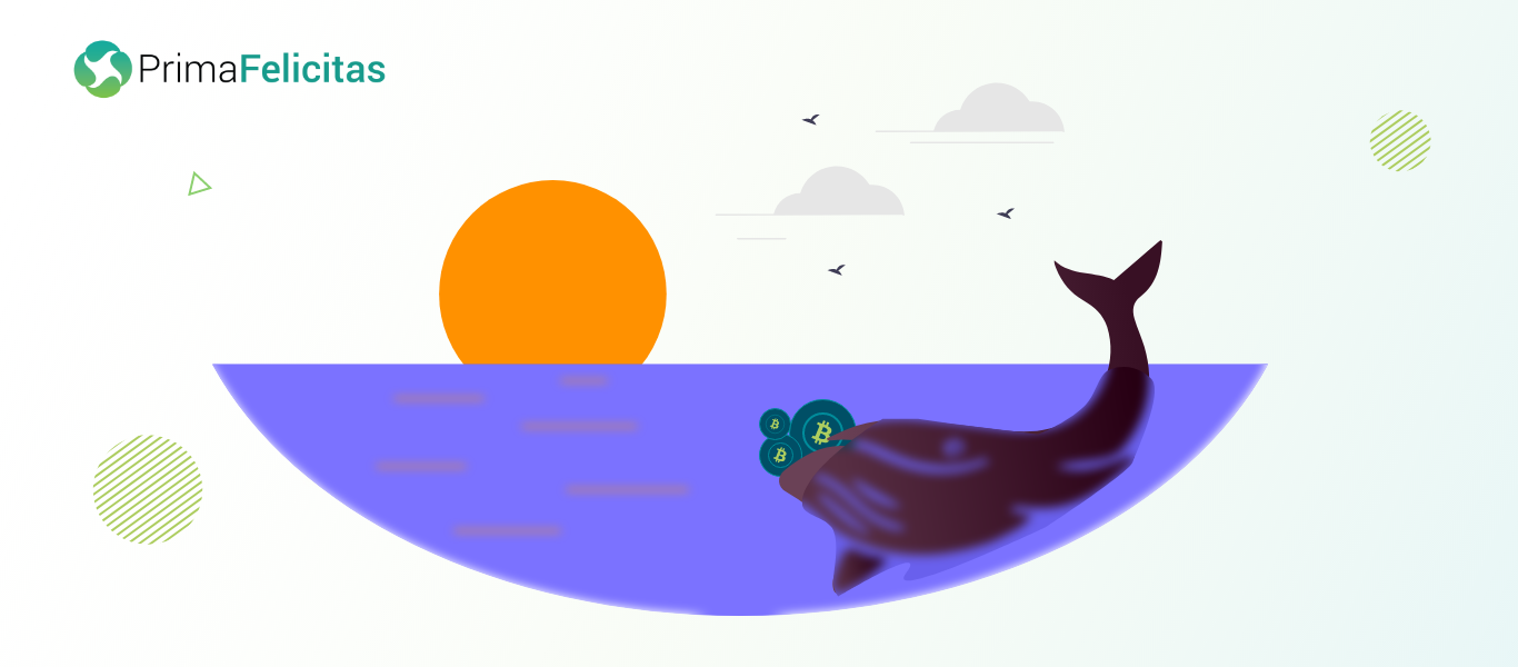 Bitcoin whales: Significant players in cryptocurrency market