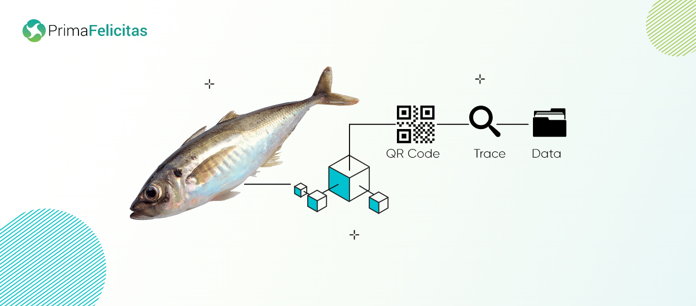Blockchain Adoption for Fishery Supply Chain Traceability - PrimaFelicitas
